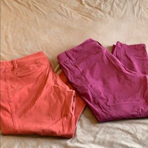 Two size 16 Loft Pants